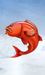 Ice Fishing