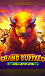 Buffalo Hold And Win